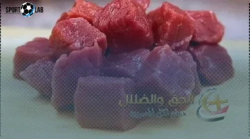 تعليمات نقابة الفلاحين اليوم بعد انتشار مرض بين المواشي – تحديث الأربعاء 5 نوفمبر 2025